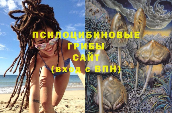 не бодяженный Зеленодольск