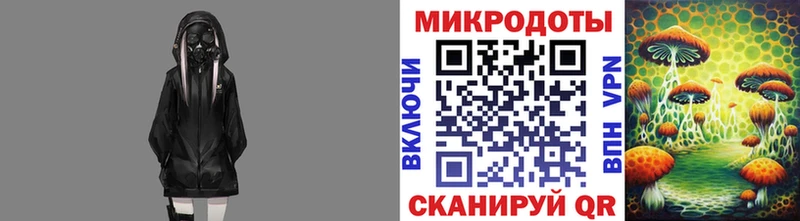 Купить закладки Краснознаменск Псилоцибиновые грибы Cubensis
